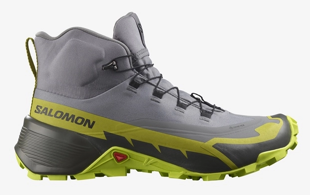 Salomon 