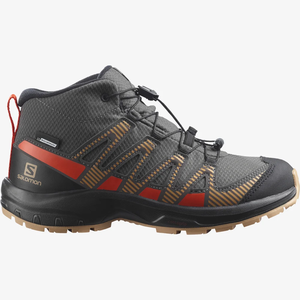 Salomon 